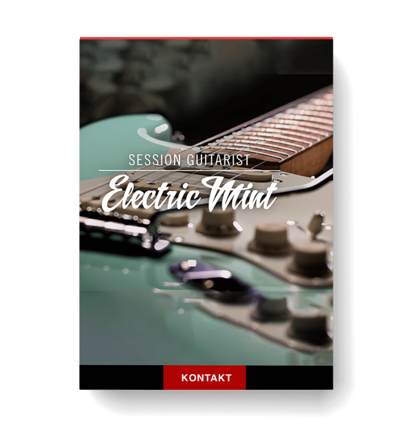 Session Guitarist Electric Mint
