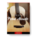 Native Instruments - Session Guitarist - Picked Acoustic