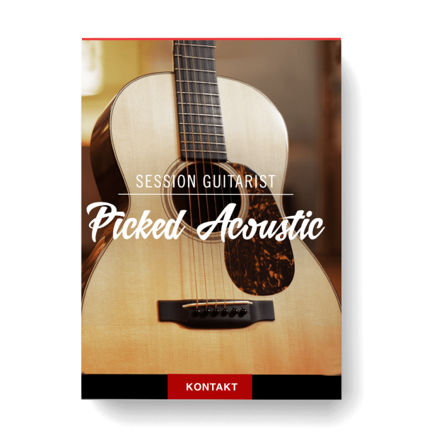 Session Guitarist Picked Acoustic