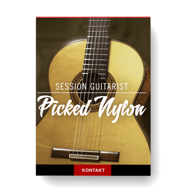 Session Guitarist Picked Nylon