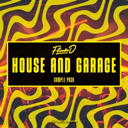 Flava D's House and Garage