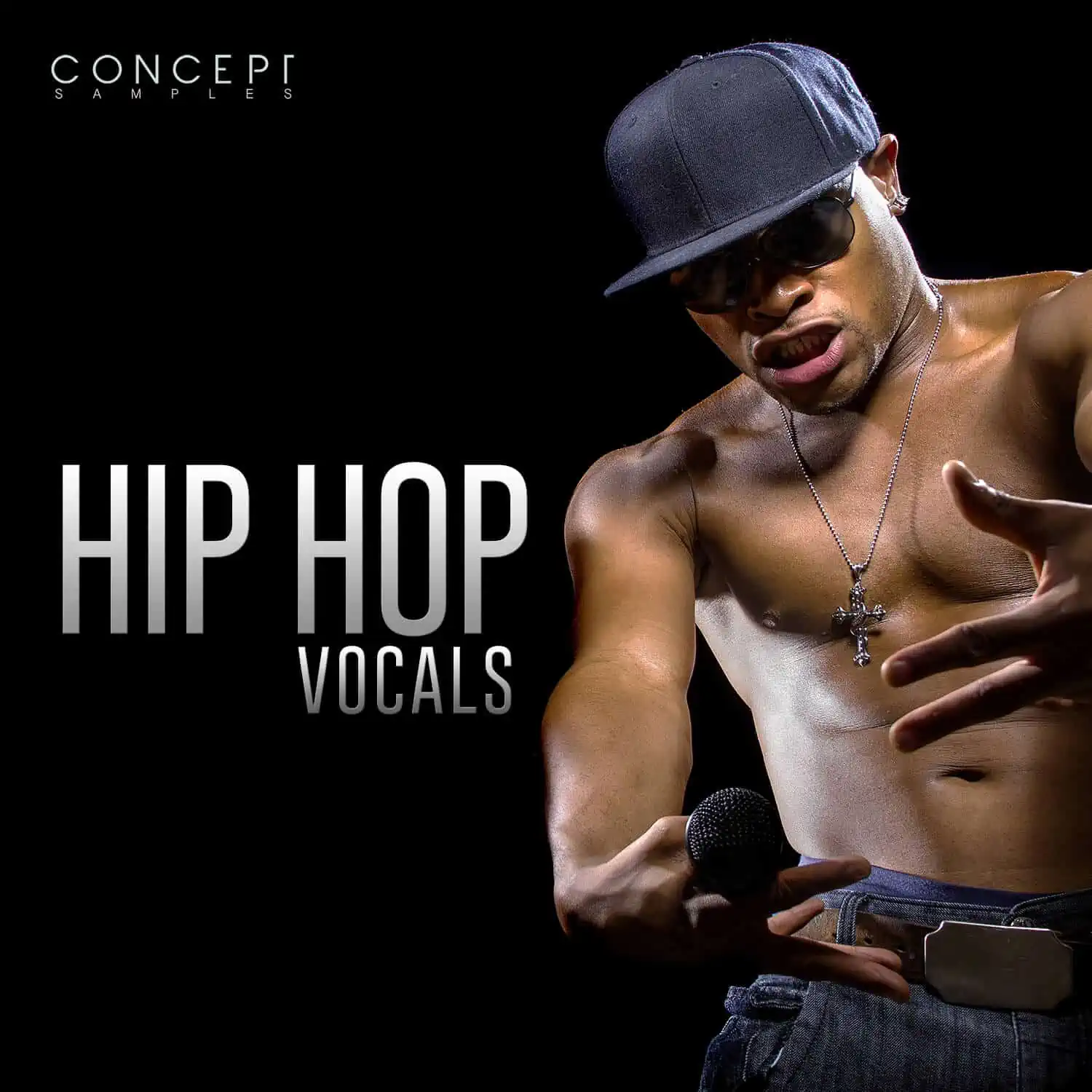 ConceptSamples Hip Hop Vocals 2