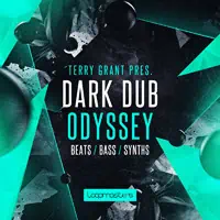 Terry Grant: Dark Dub Odyssey