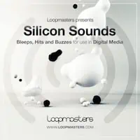 Silicon Sounds